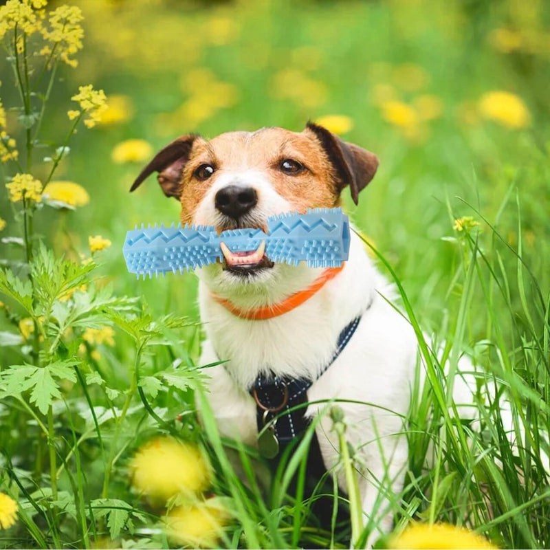 Puppy Chew Toy (Light Blue)