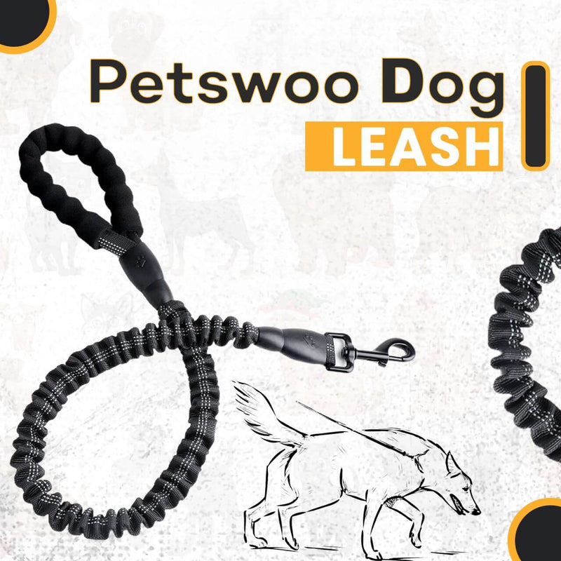 dog lead new